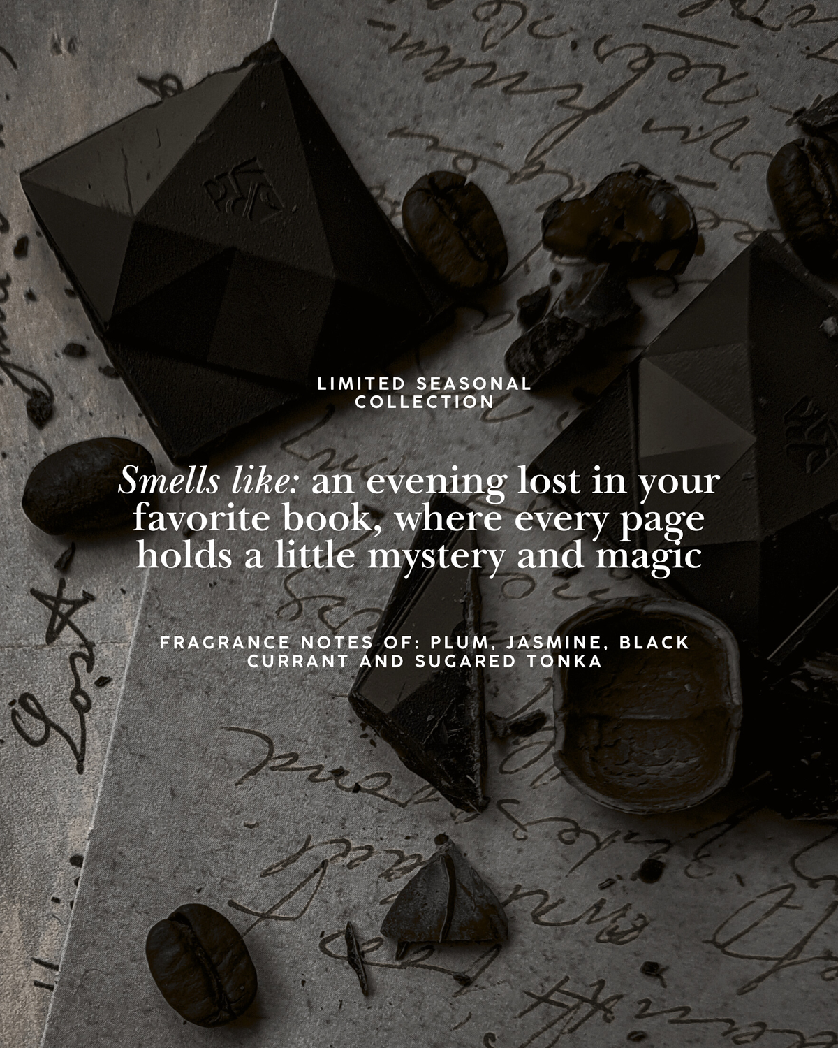 Poets & Old Souls Candle | Plum, Black Currant & Dark Woods