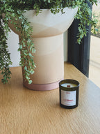 Wild Bloom Candle | Red Poppy, Wild Irys & Rosewood