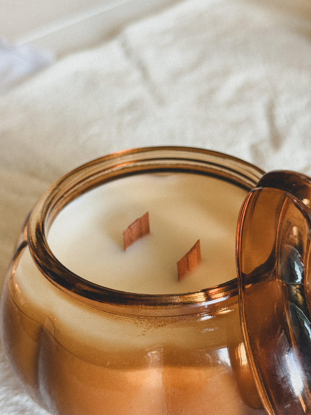 Midnight Harvest Pumpkin Candle | Autumn Apple, Red Mahogany Woods & Peppercorn