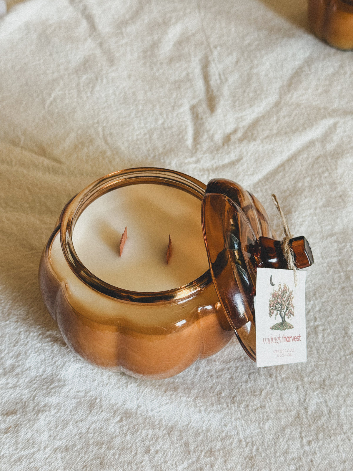 Midnight Harvest Pumpkin Candle | Autumn Apple, Red Mahogany Woods & Peppercorn