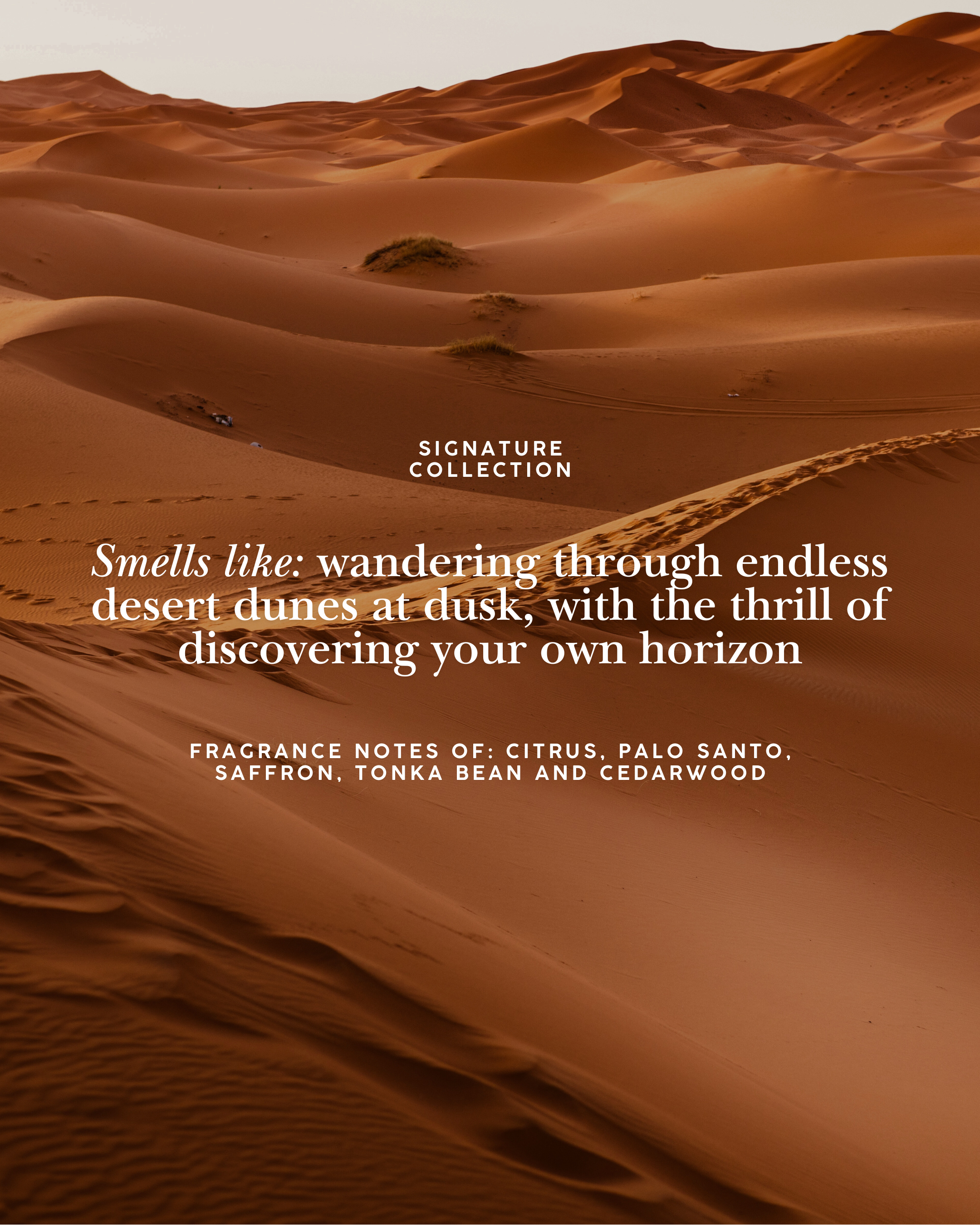 Desert landscape with sand dunes and text about a fragrance collection.