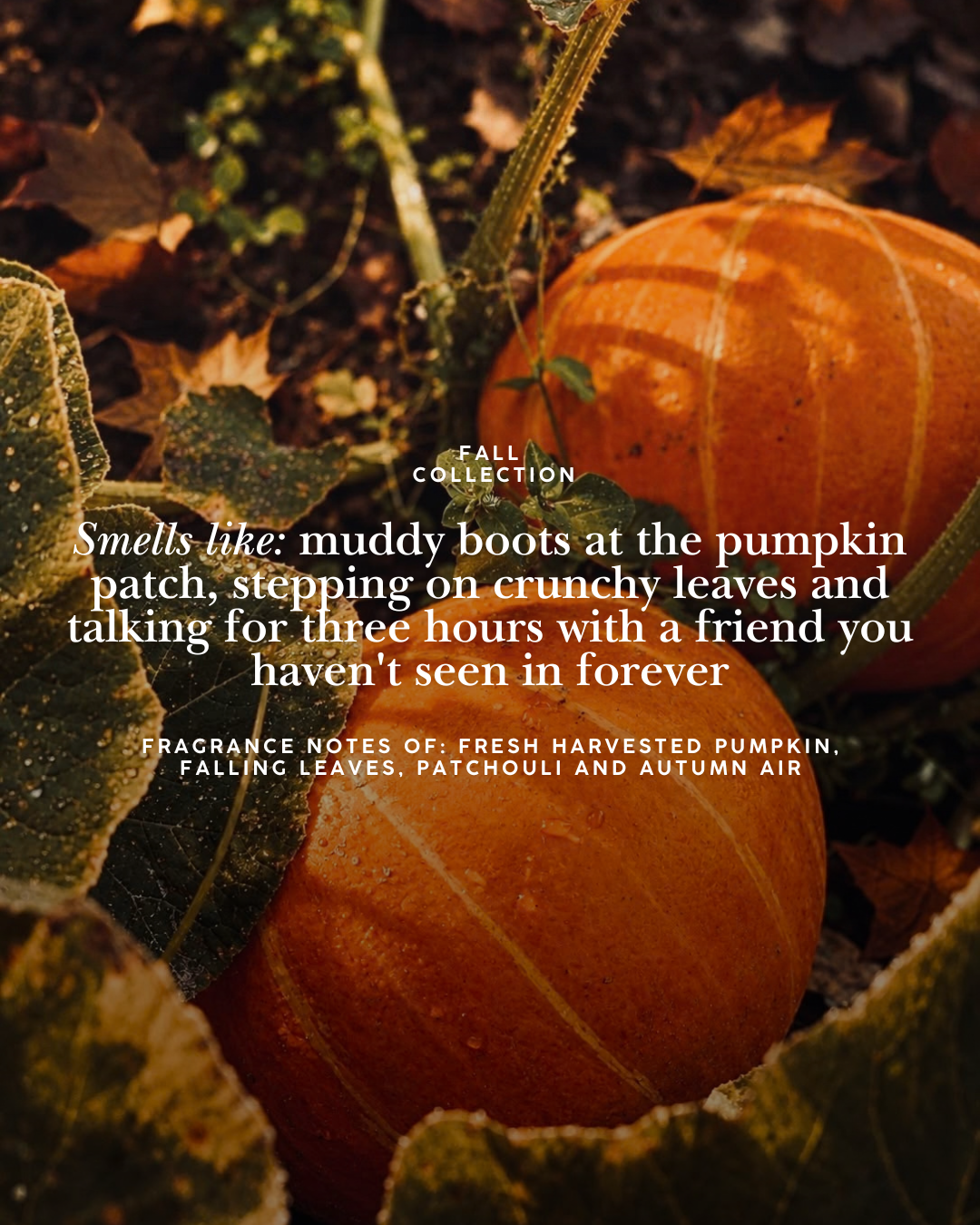 Pumpkin Patch 6 oz Ceramic Orange Pumpkin Candle