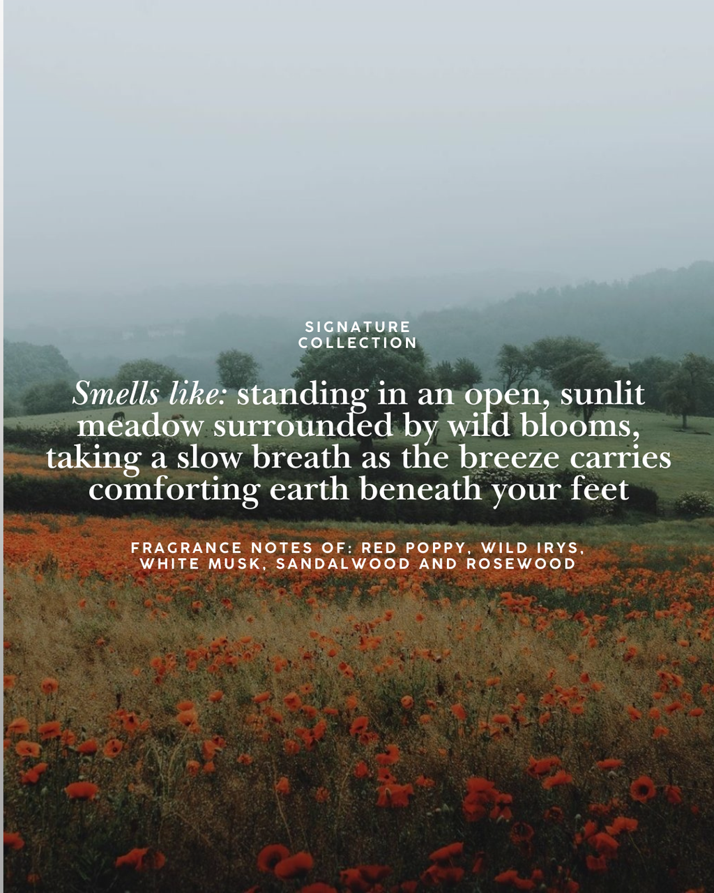 Wild Bloom Candle | Red Poppy, Wild Irys & Rosewood