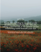 Wild Bloom Candle | Red Poppy, Wild Irys & Rosewood