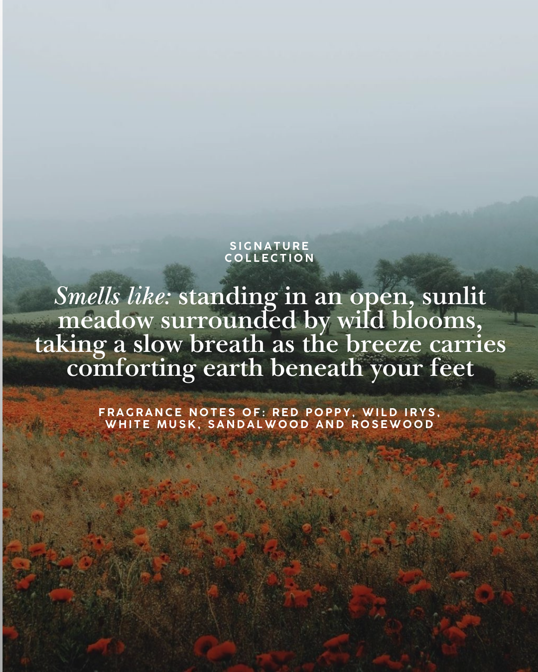 Wild Bloom Candle | Red Poppy, Wild Irys & Rosewood